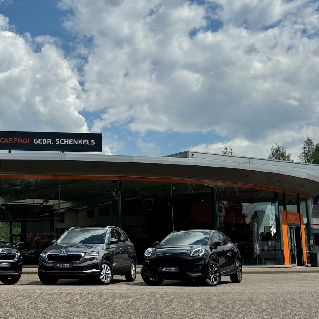 CarProf Gebr. Schenkels - 1E Autotechnicus
